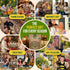 30 Pack- 14000+ Organo Republic Culinary Herbs & Edible Flower Seed Variety Indoor/Outdoor. Non-GMO Heirloom Flower