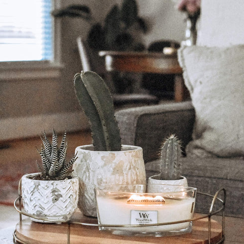 WoodWick Candle, Wax, White Teak, Ellipse Shape
