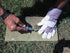 RiverView Enterprise Oyster Shucking Knife, Stainless Steel, Clam/Shellfish Opener, Seafood Knife