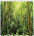 Ambesonne Shower Curtain Set, Rainforest Decorations, 69W X 70L inches, Green, Bathroom Accessories