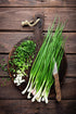 Sunutri Seeds 250+ Scallion Bunching Onion Seeds, Evergreen Hardy White, Heirloom, Non-GMO, Allium fistulosum