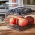 Spectrum Diversified Hexa Small Refrigerator Bin - In-Fridge Storage for Fruit, Vegetables, and More (8.5 x 6 x 2.25)