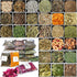 DreamdaMoonnly 32pcs Dried Herbs for Witchcraft, Witchcraft Supplies Kit for Wiccan Rituals, Witch