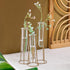 3 Propagation Station Terrariums with Gold Metal Stand - Kate Aspen Glass Test Tube Planters for Indoor Plant, Air
