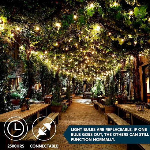 Indoor,200(2x100) Light,42.8 Joiedomi Clear Christmas String Lights Mini White Fairy FT Lighting Decor for Patio Dorm