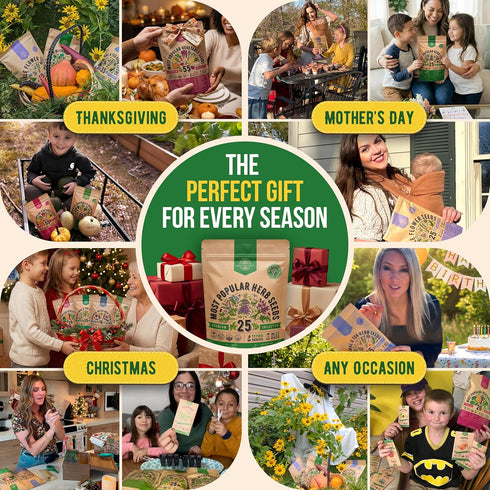 25 Pack 11,700 Packets 2026 Most Popular Herb Seeds Variety - Non-GMO Heirloom Seeds for Planting Herbs in Individual