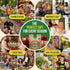 25 Pack 11,700 Packets 2026 Most Popular Herb Seeds Variety - Non-GMO Heirloom Seeds for Planting Herbs in Individual