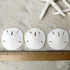 Tumbler Home Sand Dollars and Starfish for Crafts - 3 Real Starfish (4"-6") and 3 Sand Dollars (3"-3.5") in Bulk