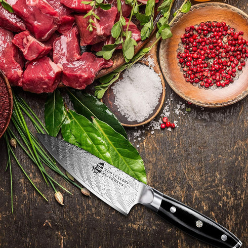 TUO 3.5 Inch Paring Knife - Ultra Sharp Peeling Knife - High Carbon Stainless Steel with G10 Handle Gift Box