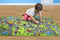 Angels Kids Carpet Playmat Rug City Life Great for Playing with Cars and Toys - Play Learn and Have Fun Safely - Kids