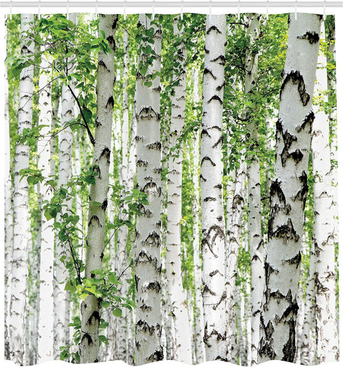 Ambesonne Woodland Shower Curtain, Birch Trees in The Forest, 69" W x 70" L, Cloth Fabric Bathroom Decor