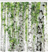 Ambesonne Woodland Shower Curtain, Birch Trees in The Forest, 69" W x 70" L, Cloth Fabric Bathroom Decor