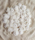 Tumbler Home Small Natural White Sand Dollars, 50 pcs - Wedding, Sea Shell Craft, 1 1/4" to 1 1/2"