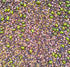 Pack Pack 10 2 packs Variety Sprouting Seeds Broccoli, Alfalfa, Radish, Mung beans & Salad Mix for Sprouts