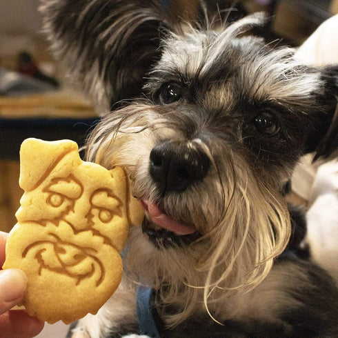 Set of 2 Mini Schnauzer Cookie Cutters (Body & Face Designs), 2 Pieces - Bakerlogy