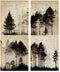 HRQKO Vintage Forest Wall Art: Set of 4 Black Landscape Prints for Farmhouse Living Room