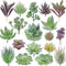 18 Pack Artificial Succulent Plants, Premium Fake Plants, Realistic Textured Cactus Decor
