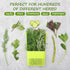 3 Pack Fresh Herb Keeper for Refrigerator, Clear BPA-Free Herb Saver, Storage Container for Cilantro, Parsley, Thyme