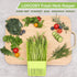 Set: 3 Pack Saver+1 Pack Scissors+2 Pack 3 LUVCOSY Herb Keeper Herb Herb Herb Stripper, BPA-Free Plastic Herb Container