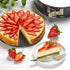 Tala Performance 20cm Springform Round Cake Tin, Professional Gauge Carbon Steel with Non-Stick Coating