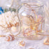 7.2FT 39LED MIYA LIFE Seashell Garland Ocean Light for Beach Decor Battery Operated Coastal Garland Magic Conch Shell