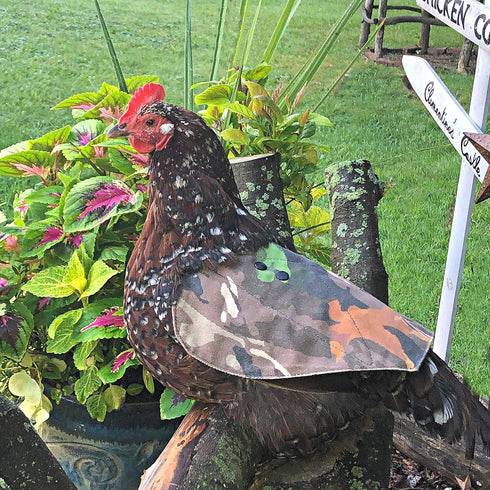 The Chicken Chick Standard Hen Mating Saddle by