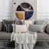 12 20 Inches, OJIA Modern Throw Pillow Cover with Tassels, Decorative Liana Fringe Accent Cushion Case, Farmhouse Woven