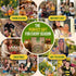 20 Pack 9500+ Culinary Herbs & Edible Flower Seed Variety for Planting Indoor & Outdoors. Non-GMO Heirloom Flower