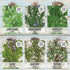 Pack (12 Packets Seed Needs Herb Seeds Variety Culinary Herb Collection Individual for Planting Indoors or Outdoors)
