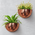 12x7 Allegorie Metal Wall Planter | Indoor or Outdoor Hanging Plant Pot | Farmhouse Decor & Boho Kitchen Decoration