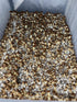 SeedsUP 100+ Porcini Mushrooms Boletus Mycelium Spawn Spores - Mushroom Brown